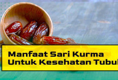 Peran Sari Kurma untuk Mengatasi Gejala DBD dan Tipes, Berikut 7 Manfaatnya Terhadap Penyakit!