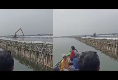 Heboh! Pagar Laut Kini Kembali Ditemukan di Bekasi, KKP Pastikan Tidak Memiliki Izin