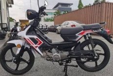 Bingung Motor Baru, Pilih Honda Aveta Ranger Hanya Rp 9 Juta. Tertarik!  