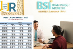 Bingung Cara Pinjam Dana KUR BSI? Ini Panduan Lengkap untuk Pemula