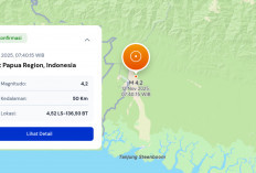 BMKG: Magnitudo 4,2 Guncang Mimika Papua Tengah, Ini Titik dan Kedalaman Gempanya