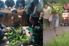 Viral! Remaja Yatim Piatu Diarak Warga Usai Curi Pisang di Pati, Kisahnya Bikin Polisi Iba