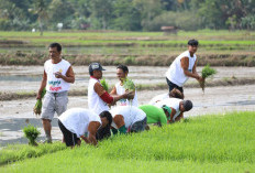 Harga Beras di Pasaran Naik, Masyarakat Menjerit, Satgas Pangan Bilang Begini 