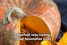 Inilah 9 Manfaat Labu Kuning Bagi Kesehatan Menurut Al-Qur'an, No 3 Tak Terduga