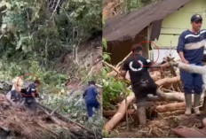 Sempat Hilang Kontak, Akhirnya Wali Kota Akhmad Syukri Tiba di Sibolga, 2 Hari Jalan Kaki Lalui Longsor