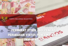 Peringkat DTSEN Jadi Pengaruh Perubahan Status Penerima Bansos PKH-BPNT 2025, Segera Cek Saldo KKS di Sini!