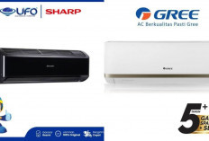 Perbandingan AC Sharp Full Black vs Gree Black Diamond: Mana yang Hemat Listrik Terbaik 2025?