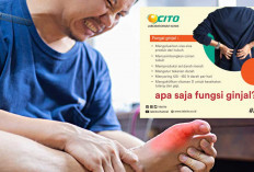 Mitos dan Fakta Asam Urat: Bukan Makanan, Tapi Ginjal yang Jadi Penyebab Utama! 