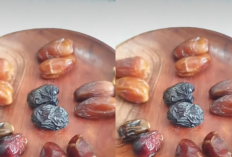 6 Jenis Kurma Pilihan dengan Harga Terjangkau Wajib Tahu, Suka yang Mana Ni?