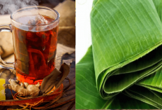 8 Langkah Cara Buat Ramuan Daun Pisang Kering Untuk Kesehatan, Manfaatnya Bikin Takjub!