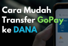 Jos Hitungan Detik Langsung Masuk, Begini Caranya Transfer Saldo GoPay ke DANA 2024 dengan Aman Tanpa Ribet