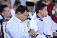 Ternyata Anggaran Makan Siang Gratis Diambil dari Dana Ini, Bukan dari Anggaran Rutin Kemendikbud!