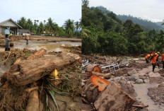 BNPB: 72 Korban Jiwa Akibat Banjir dan Longsor di Sumatra, Puluhan Masih Hilang  