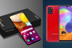 Wow Samsung Galaxy A31 Jadi Smartphone Stylish dengan Fitur Mewah Mulai dari Rp3 Jutaan Aja!