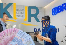 Cara Mengajukan KUR BRI Offline agar Cepat Disetujui, Dijamin Gak Ribet & Dana Usaha Cepat Cair