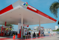Harga BBM Pertamina Naik Lagi! Simak Rincian Kenaikan Pertamina Dex dan Dexlite 1 November 2025