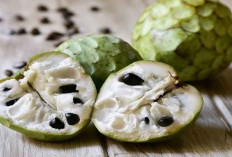 Sudah Tau Belum? ini 10 Manfaat Buah Srikaya, Bisa Menyehatkan Jantung lho...