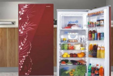 3 Rekomendasi Kulkas Tanpa Bunga Es Terbaik 2025: Hemat Listrik dan Tahan Lama! 