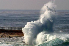 Waspada! BMKG Peringatkan Potensi Gelombang Tinggi Mencapai 4 Meter di Beberapa Perairan