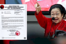 Megawati Mengeluarkan 2 Instruksi ke Kepala Derah PDIP Tunda Retret Terkait Hasto Ditahan oleh KPK