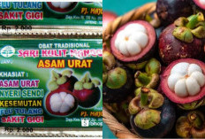Punya 4 Jenis Vitamin, Inilah Manfaat Buah Manggis Untuk Asam Urat yang Wajib Banget Kamu Coba, Ternyata...