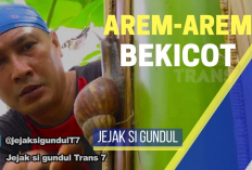 Jadwal Tayang Trans 7 Live Streaming Hari Ini Berubah? Berikut Jadwal Lengkap Trans 7 Hari Ini ada film ......