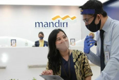 Sangat Membantu UMKM! Bank Mandiri Kartu Kredit Corporate Berikan Modal Usaha 150 Juta Bunga 0,75 Persen..