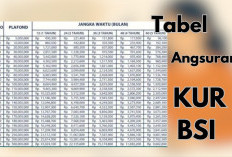 Tabel Angsuran KUR BSI 2025 Rp30–Rp50 Juta, Cicilan Mulai Rp500 Ribuan, Cek Syarat & Cara Pengajuannya Disini 