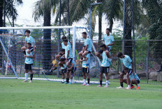 Nova Arianto Masukkan 7 Diaspora Usai Coret 6 Pemain, Cek di Sini, Ada Anaknya Darius Sinathrya Loh