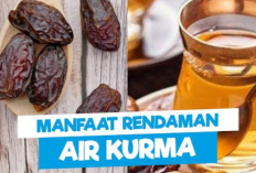 Fakta Buah Kurma & Manfaat Air Rendamannya untuk Kesehatan Tubuh yang Jarang Diketahui!