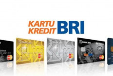 Ayo Ajukan Pinjaman Modal Usaha di Kartu Kredit BRI Platinum, Limit 100 Juta Bunga 0,6 Persen Aja! Cek Disini