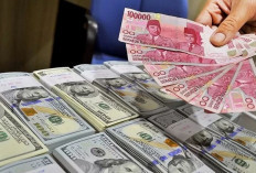 Rupiah Kian Perkasa, Apa Faktor Pendorongnya?