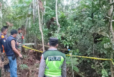 2 Orang Tewas di Banyuasin, Diduga Saling Tikam, Ini Kata Polisi