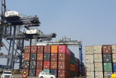 WAW! 26 Ribu Kontainer Tertahan di Pelabuhan, Airlangga dan Sri Mulyani Turun Tangan, Ada Apa?