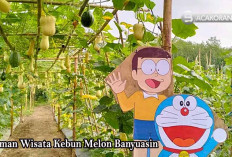 Melon Magic! Terbangunnya Surga Wisata di Pangkalan Balai, Banyuasin