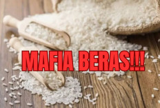Akhirnya! Bareskrim Bongkar Kejahatan Mafia Beras, Tersangka Diperiksa