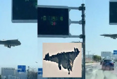 China Gegerkan Dunia Penerbangan Militer! Ujicoba Jet Tempur J-36 Tanpa Ekor, Lebih Canggih dari F35 Punya AS?