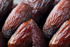 Wow! Ini Dia 4 Kurma Termahal di Dunia, Salah Satunya Kesukaan Nabi