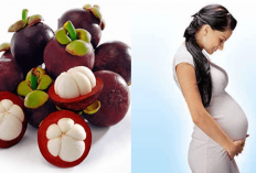7 Khasiat Buah Manggis untuk Ibu Hamil, Ternyata Bisa Mencegah Bayi Lahir Cacat dan Ini...