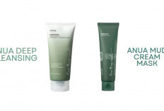 Mengenal Produk Skincare Korea Terbaik, ANUA Mampu Mengatasi Seluruh Masalah Kulit Kamu, Cocok Yang Mana Gais?