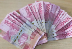 Kabar Baik! Cara Mudah Cek Status BSU di kemnaker.go.id, Ada Nama Kamu di Sini?