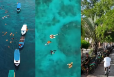 Liburan ke Pulau Giri? Cobain 3 Aktivitas Seru Ini: Paddle Board, Snorkeling, dan Bersepeda!