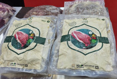 Daging Dam Dibawa ke Tanah Air, Indonesia Berpeluang Kirim 1.500 Penyembelih Hewan Saat Musim Haji, Tertarik?