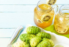 4 Rekomendasi Menu Olahan Buah Mengkudu dan Langkah-langkah Membuatnya, Yuk Cobain Sekarang...