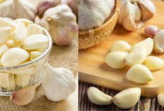 Makan Bawang Putih Mentah, Emang Sehat Banget? Simak Faktanya!