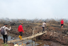 Siap Siap Kabut Asap Lagi! Kebakaran Lahan di OKI Masih Terjadi, Kanal Air Kering