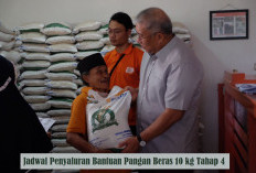 Penyaluran Skema Baru, Segini Anggaran Disiapkan Pemerintah untuk Lanjutkan Program Bantuan Pangan Beras 10 kg