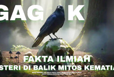 Ternyata Ini Fakta Ilmiah Burung Gagak Sering Disebut Pertanda Kematian