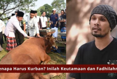 Kenapa Harus Kurban? Inilah Keutamaan dan Fadhilahnya Menurut Ustaz Hanan Attaki