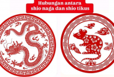 Shio Tikus & Naga Pasangan Ideal atau Bencana? Simak Ramalan Lengkapnya!